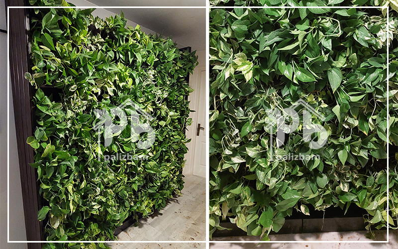 دیوار سبز فضای داخلی