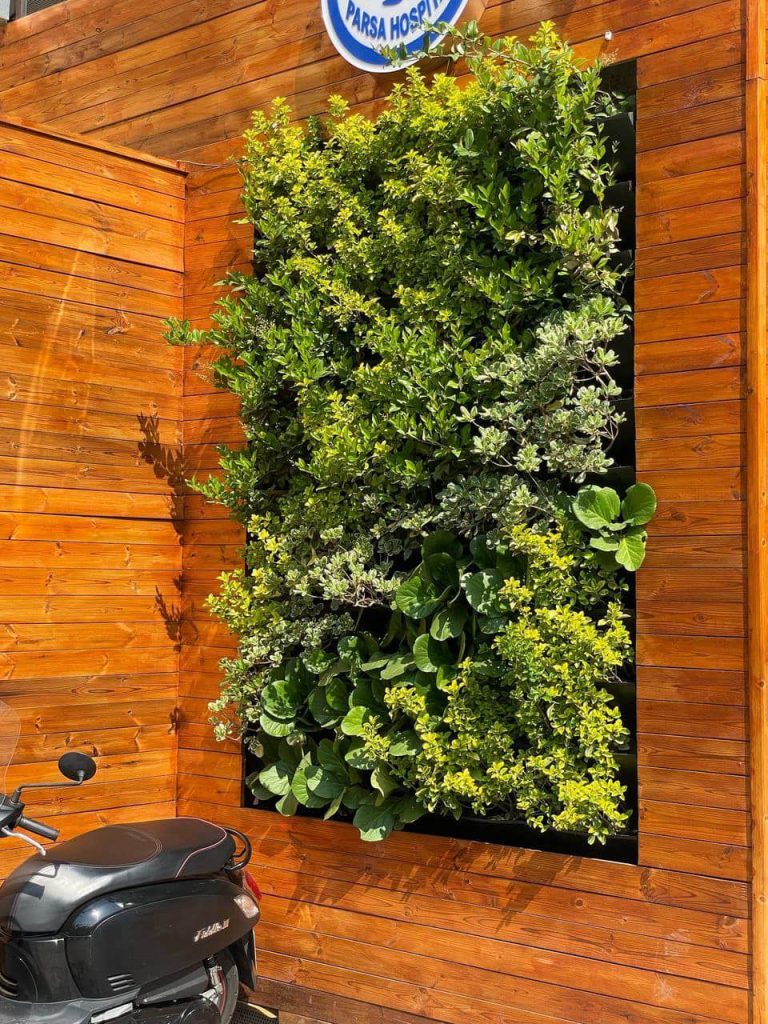 نمونه کار دیوار سبز