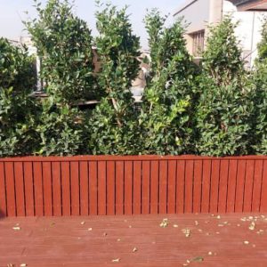 فلاور باکس چوبی قرمز