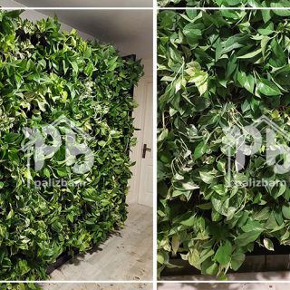 دیوار سبز فضای داخلی