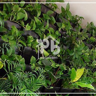 دیوار سبز طبیعی